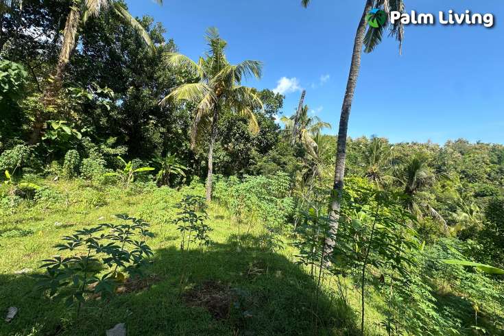 Hillside Plot in Kayuputih for Sale