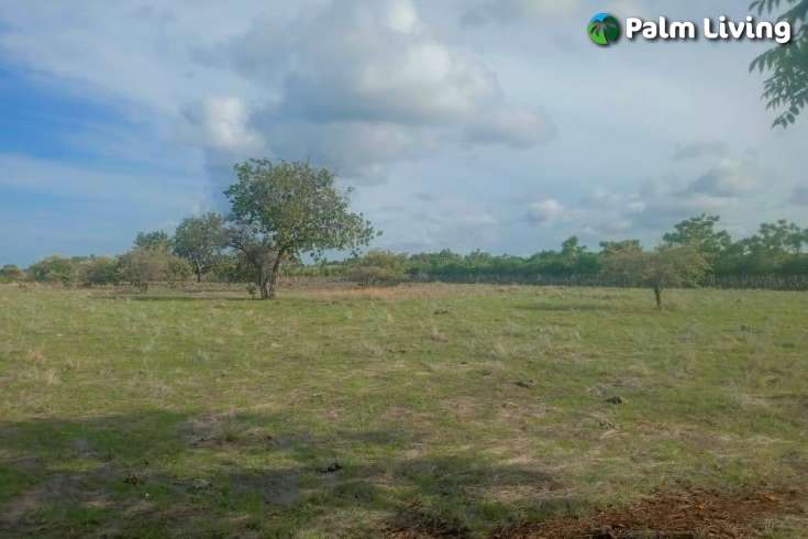 Tranquil Land For Sale in Sumba