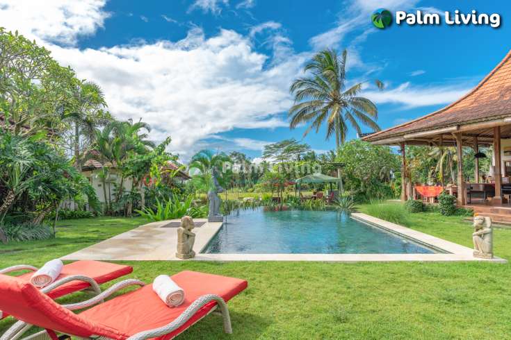 Guesthouse for Sale in Rice Fields