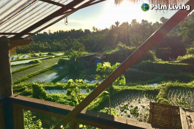 Country house for sale in North Bali