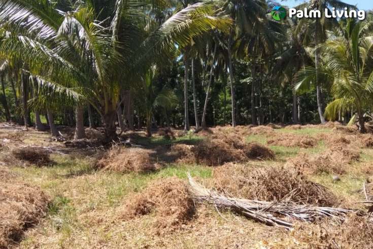Beachfront Land In Lombok For Sale