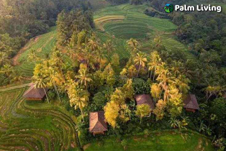 Tabanan mountain resort for sale