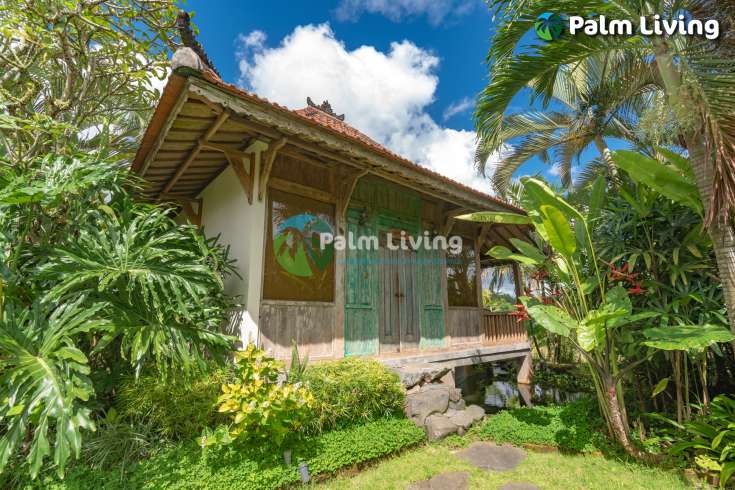 Guesthouse for Sale in Rice Fields