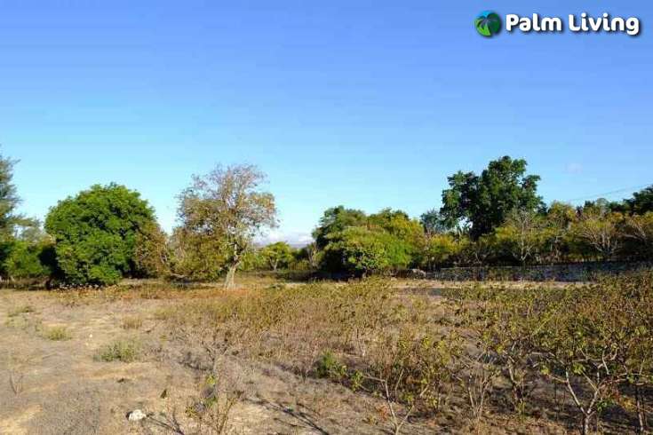 Beachfront Plots for Sale in Mondu