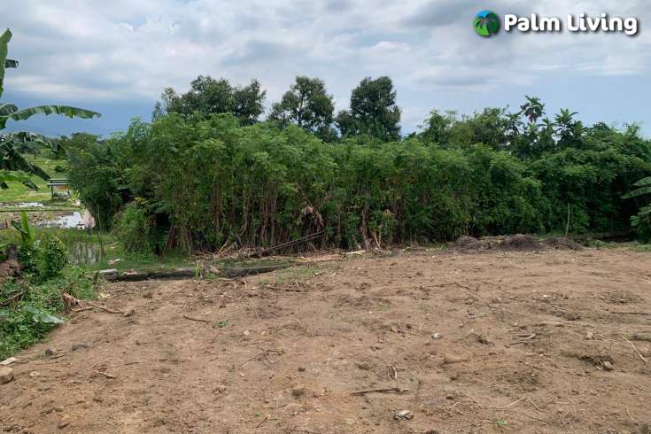 Hillside Land For Sale Bali