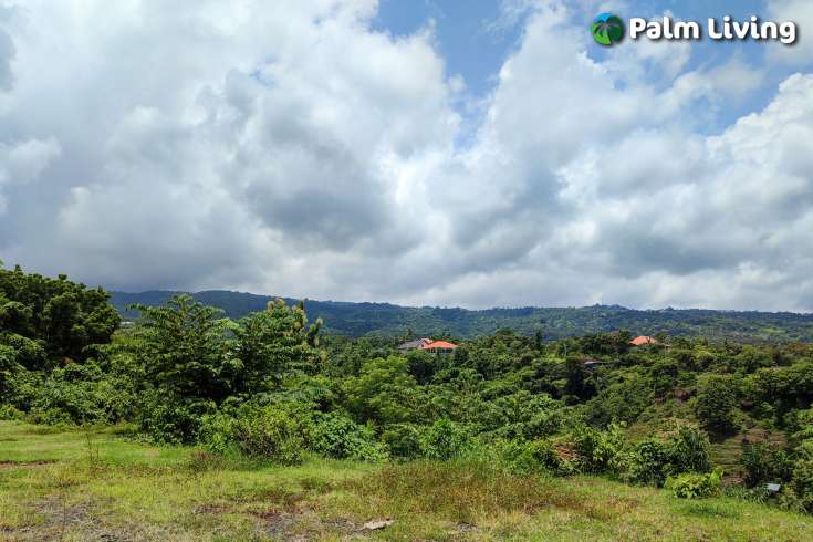 Prime Sized Hillside Land
