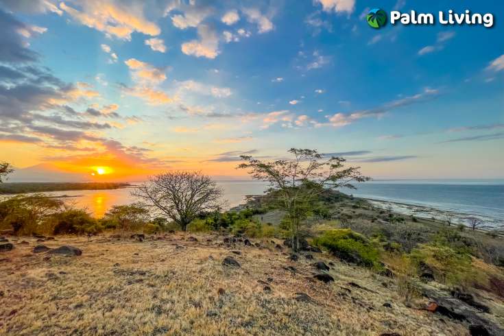 Stunning Seaview land for sale in Pemuteran