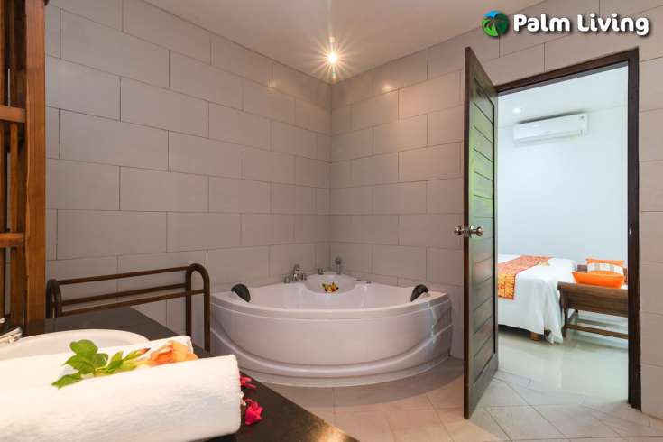 Investment Opportunity with Twin Villas