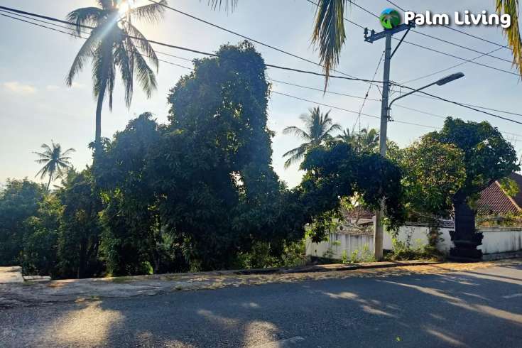 Land for Sale with Rice Field View
