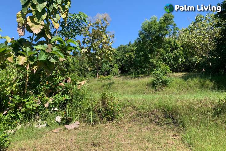 Sloping Land with Ocean & Jungle Views