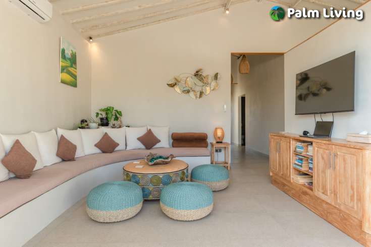 Minimalist Elegant Style Villa for Sale
