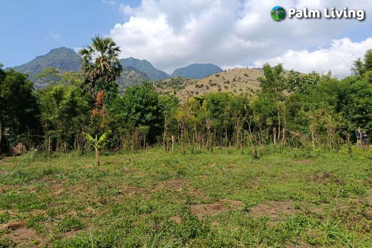 Freehold Land for sale in Pemuteran