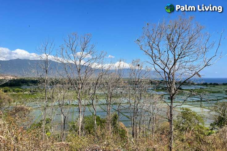 Panoramic Land for sale in Umeanyar