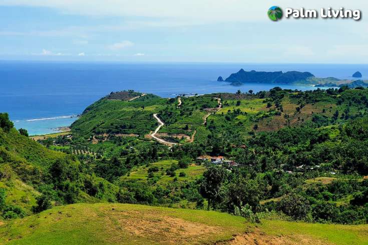 South Lombok Land for Sale with Exquisite Views