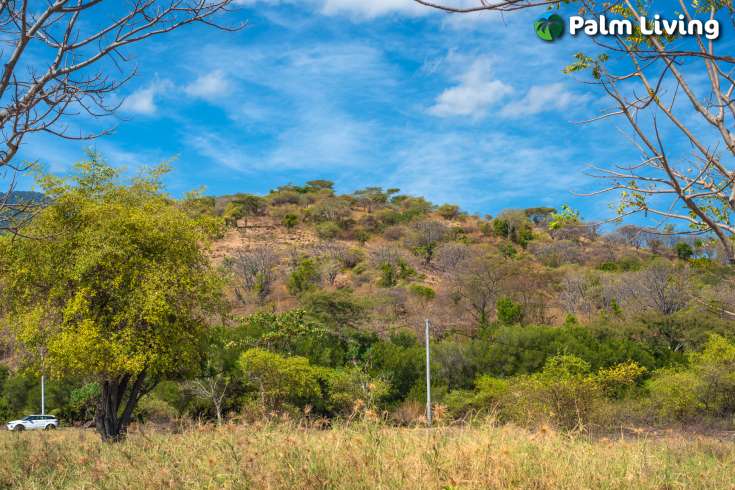 Stunning Seaview land for sale in Pemuteran