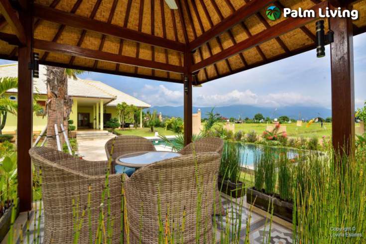 Large Villa In Rice Paddies