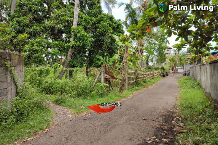 Huge Plot of Land for Sale In Lovina
