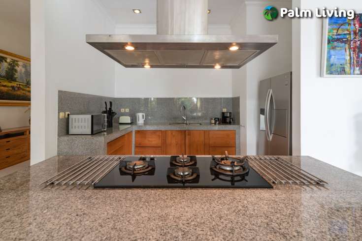 Villa Hidden Paradise In Umeanyar For Sale
