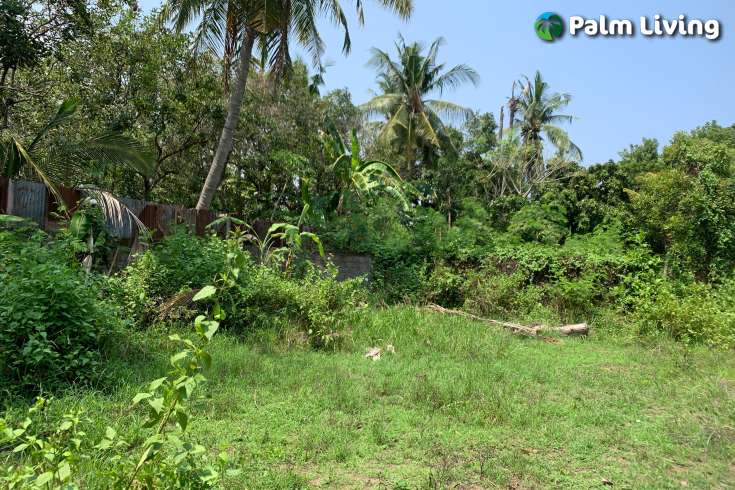 A Plot Land for Sale in Labuhan Aji