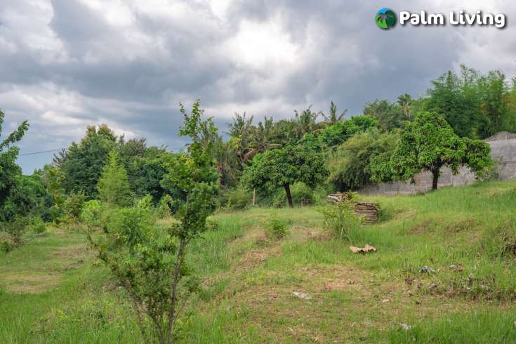 Prime Land for Sale in Kayuputih