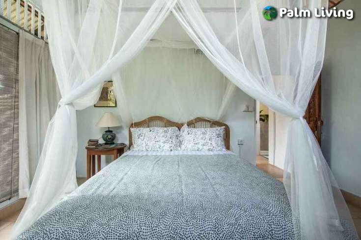 Cozy House in Penestanan for Sale