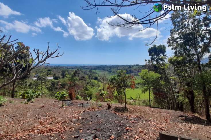Hillside Land For Sale, North Bali
