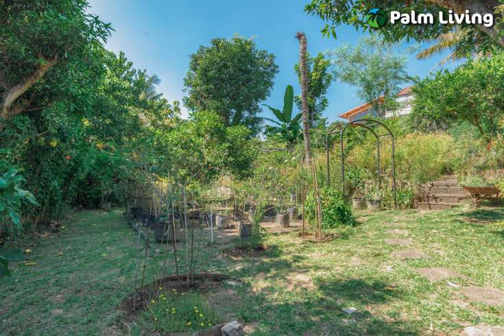 Private Villa with Tropical Garden for Sale