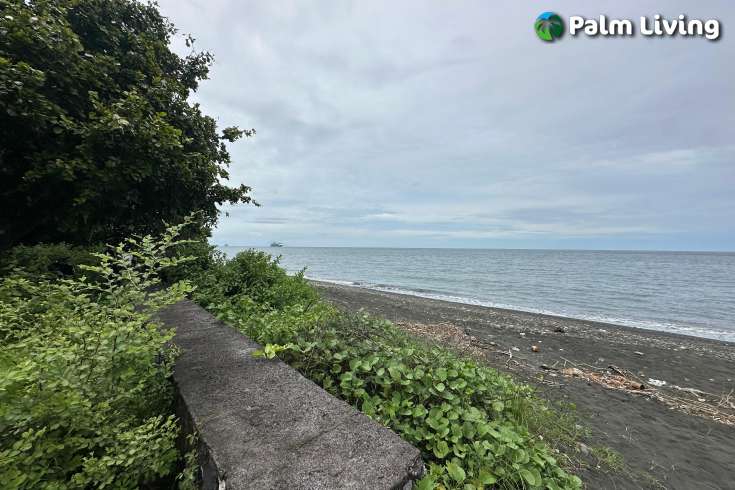 Large Plot of Land for Sale 1.6ha
