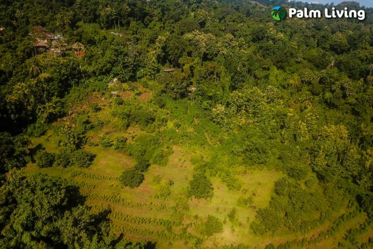 Hillside Land close to Central Lovina