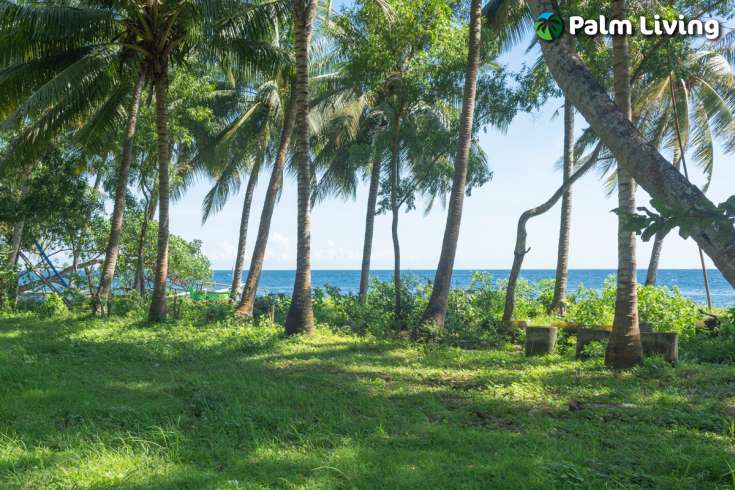 Beachfront Land for Sale in Tejakula