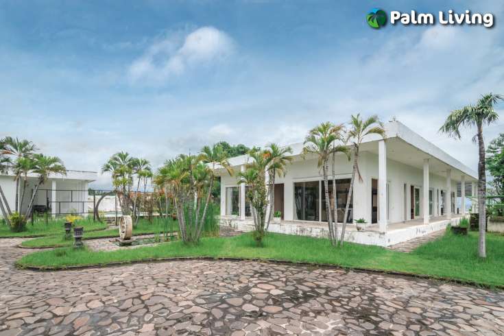Rare Expansive Beachfront Villa