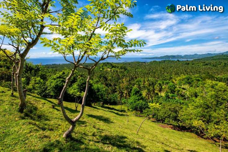 East Bali Land for Sale