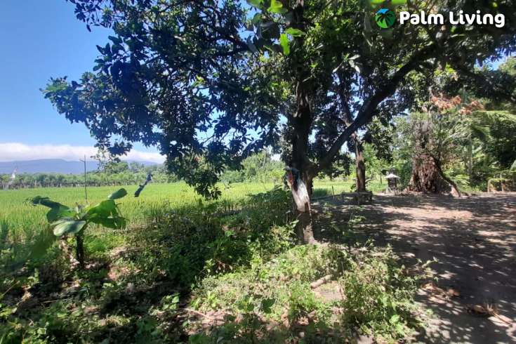 Bali Beachfront Land for sale