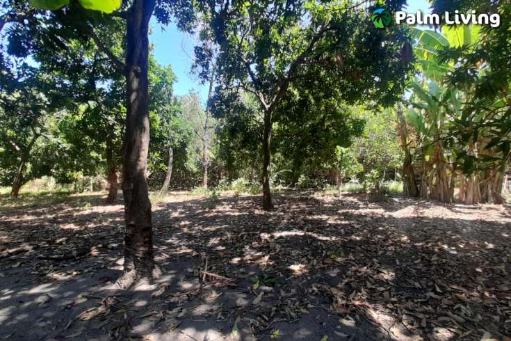 Bali Beachfront Land for sale
