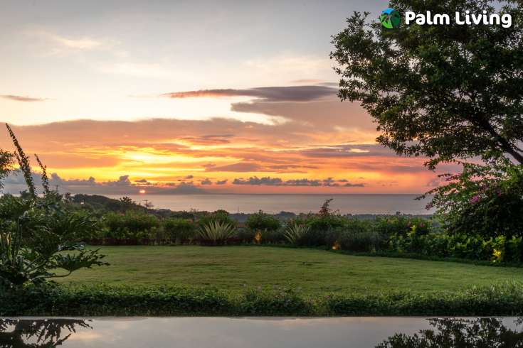Luxury Villa For Sale in Kayuputih Lovina
