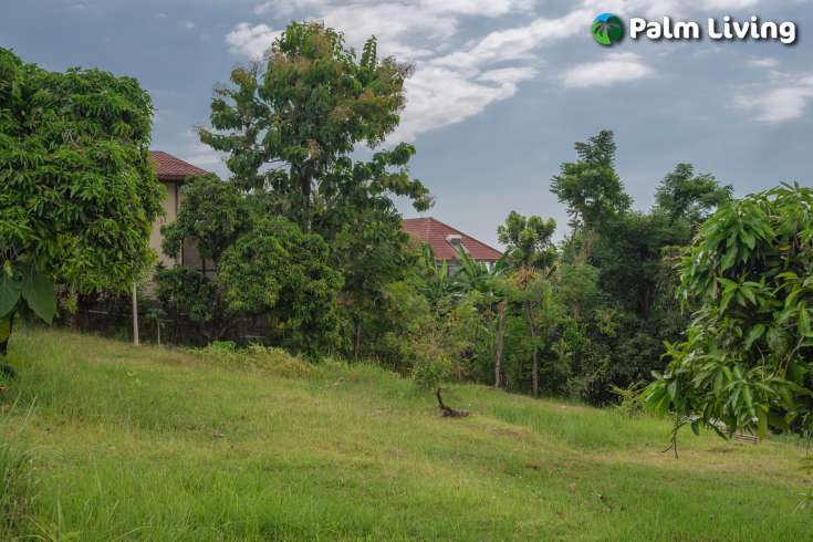 Prime Land for Sale in Kayuputih