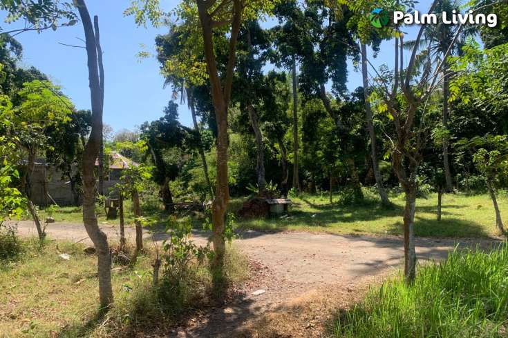 Primesized Land near Lovina for Sale