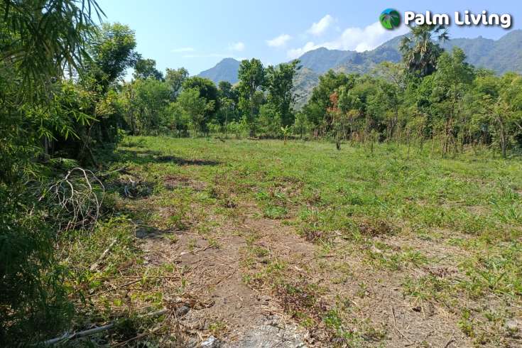 Freehold Land for sale in Pemuteran