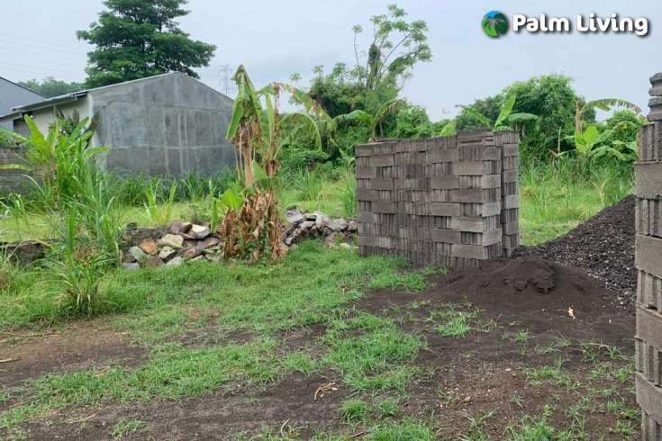 Ready to Build: A Plot Close to Lovina