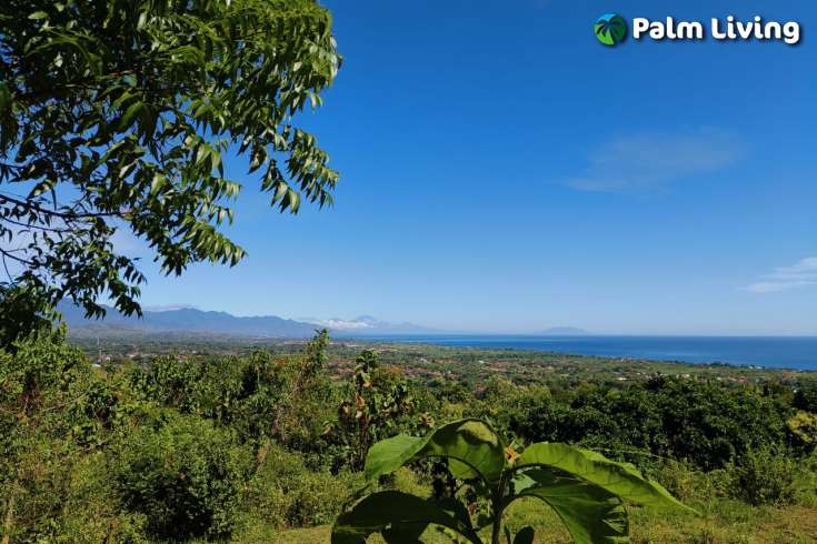 Land for sale in Dencarik Hill, Lovina