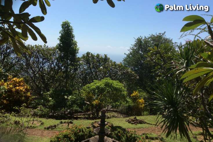 Land for Sale in Bali: 180 Degree Views