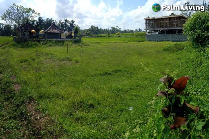 Land plot for sale in Ubud