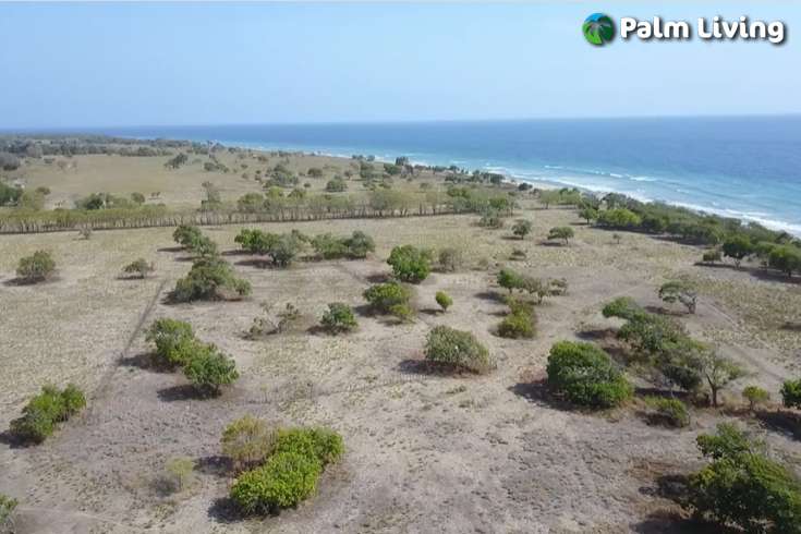 Seaside Prime Land near Wera Beach for Sale