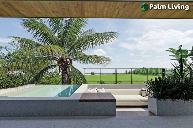Luxury Living in New Modern Villas