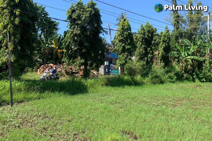 Centrally Located Land in Lovina for Sale