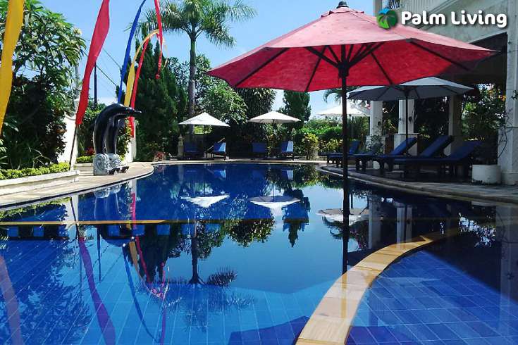 Luxury Boutique Hotel Sale Close Lovina Central