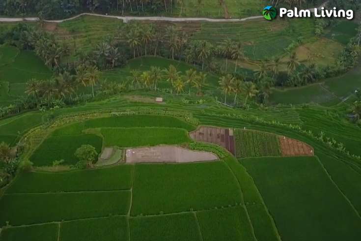 Riverside Villas for Sale in Penarungan