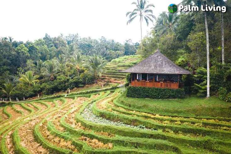 Tabanan mountain resort for sale