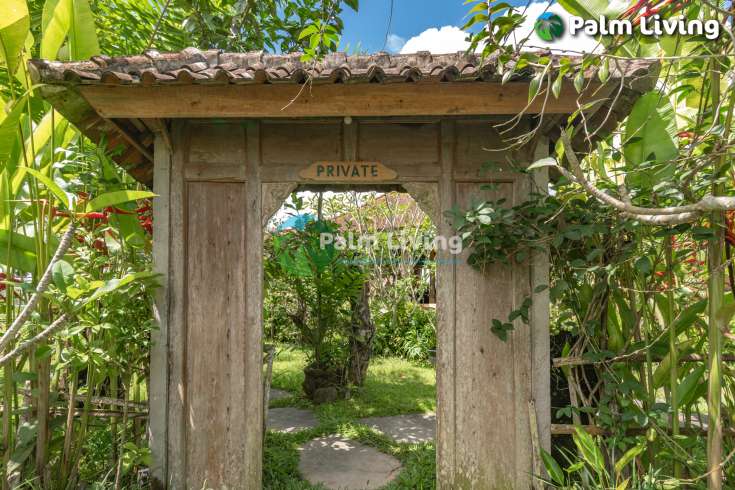 Guesthouse for Sale in Rice Fields