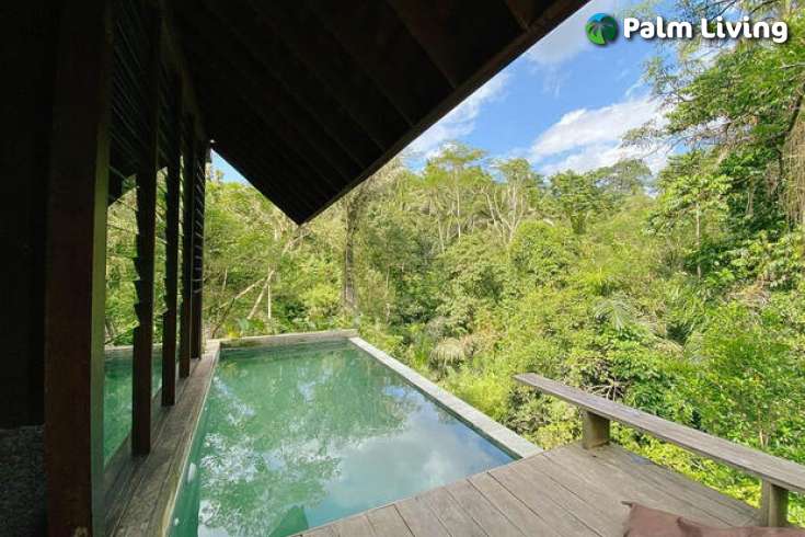 Invest in Ubud Villa Development
